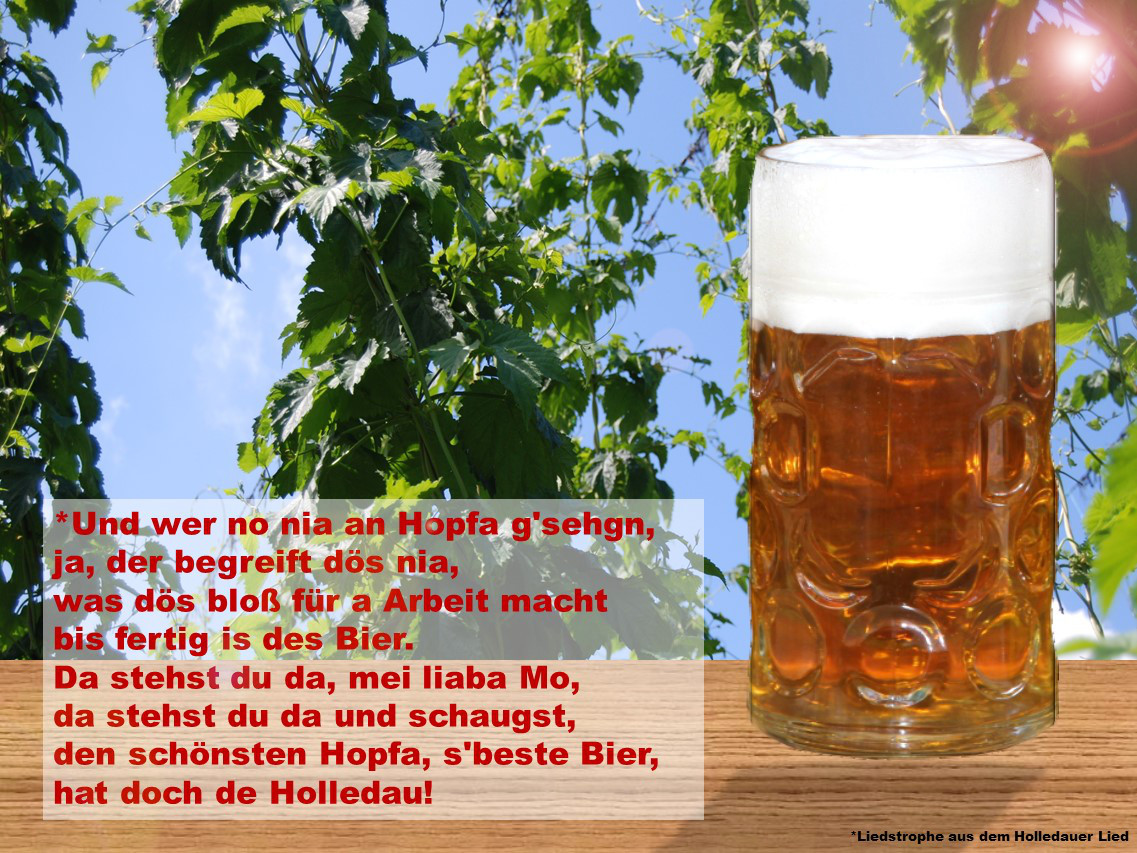Hopfenbildbier