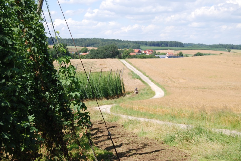 Hopfenwirtschaft